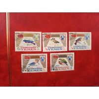 1965 Королевский Йемен фауна птицы (3-3)