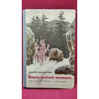 Андрей Шманкевич. Вовка-зеленая фуражка // Иллюстратор: Е. Ванюков