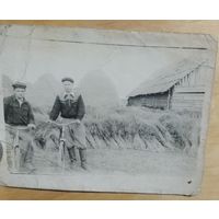 Фото сельская жизнь (снопы льна или эерно)