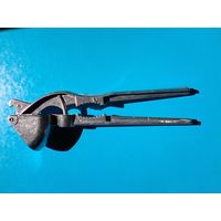 Чесночница.