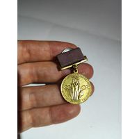 Медаль ВДНХ СССР. За успехи в народном хозяйстве.