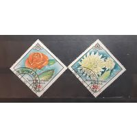 Монголия. 1983 год. Флора. Цветы (240)