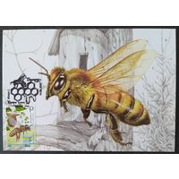 Беларусь 2020 КМ пчеловодство.