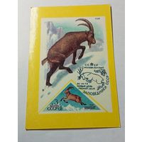 Карманный календарик .  Заповедники СССР  . 1991 года .