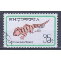 [994] Албания 1966. Фауна.Ящерица. Гашеная марка.