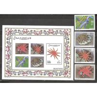 ФФ2 Сомали 2001 Морская Жизнь Фауна Звёзды