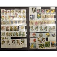 СССР. Цветы. Все марки негашеные, в коллекционном состоянии** Аукцион с рубля без минимальной цены.