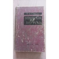 Книга Микробы вирусы 1960г