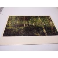 Открытка 1978г. Чистая. И. Левитан. Берёзовая роща.