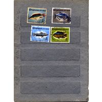 Гайана, ,  РЫБЫ    4м гашен