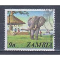 [2125] Замбия 1975. Фауна.Африканский слон. Гашеная марка.