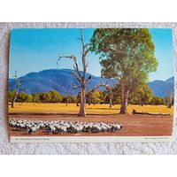 Австралия. Сельская сцена