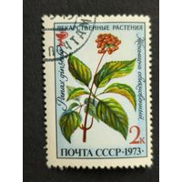 1973 СССР. Лекарственные растения. Женьшень обыкновенный