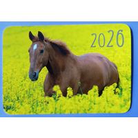 Лошадь. Календарик, глянец, 2026. Траско
