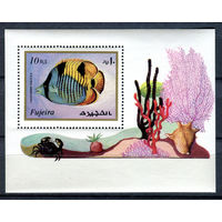 Фуджейра - 1972г. - Морская фауна - полная серия, MNH [Mi bl. 108 A] - 1 блок