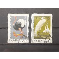 СССР. 1968 год. Фауна. Птицы (2 марки из серии)