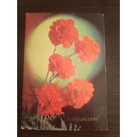 Открытка,поздравляю,Костенко