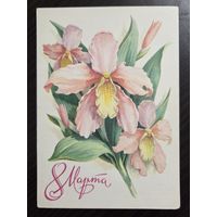 Пикунов 8 марта 1979 чистая открытка СССР