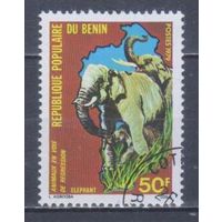 [2125] Бенин 1979. Фауна.Африканский слон. Концовка серии.Гашеная марка.