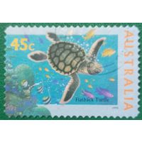 Австралия 1995. Черепахи. Flatback turtle
