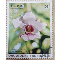 Куба 1973. Флора. Цветы. Тропические орхидеи. Марка из серии