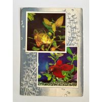 Открытка Аквариумные рыбы Фото В. Дацкевич Художник Л. Зайцев 1974 год