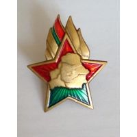 Значок.Октябрятский значок РБ.