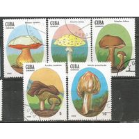 Куба. Грибы. 1988г. 5 марок.
