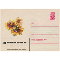 Художественный маркированный конверт СССР N 13660 (20.07.1979) Гайлярдия