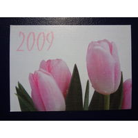 Календарик 2009 г.  СОЖ (Гомель).  Тюльпаны.
