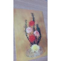 Открытка. композиция. 1983 год