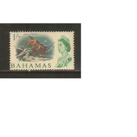 Багамы-1965(Мих.218) , *  , Морская  Фауна, Рыбы,