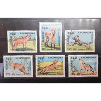 Камбоджа. 1984 год. Фауна. Лисы, волки, гиены (1306)