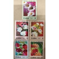 Куба 1988. Флора. Цветы