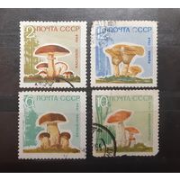 СССР. 1964 год. Флора. Грибы (101)