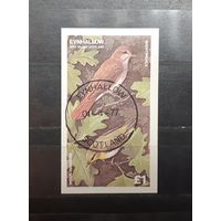 Эйнхаллоу. 1977 год. Фауна. Птицы. Блок беззубцовка (388)