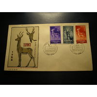 Испанская Ифни 1964 КПД, Газели