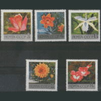 Заг. 3674/78. 1969. Флора. Главный ботанический сад АН в Москве. ЧиСт.