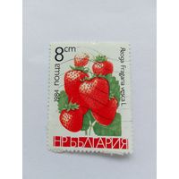 Марки  Ягода  Болгария  1984   1 шт. -  0,30 руб.