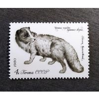 Марка СССР 1980 год Пушные звери