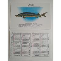 Карманный календарик. Рыбы, Литва. 1988 год