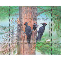 Молдова 2018. Заповедник ''Царский лес''. Дятел. 1 Блок (651)