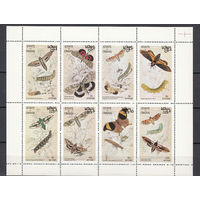 Фауна. Бабочки. Оман. 1974. Малый лист. Michel N  (- е)