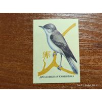 Спичечная этикетка Дроздовидная Камышевка