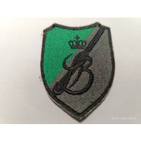 Шеврон 9 бронекавалерийской бригады Войска Польского