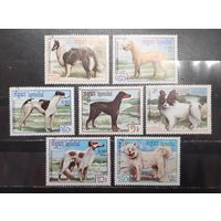 Камбоджа. 1987 год. Фауна. Собаки (1308)