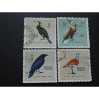 Польша 1960 г. Дикие птицы.