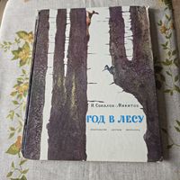 Год в лесу