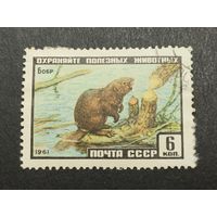 1961 СССР. Фауна СССР. Бобр