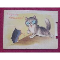 А ну-ка поймай! Левантин, Корсунский 1954 г. Чистая.